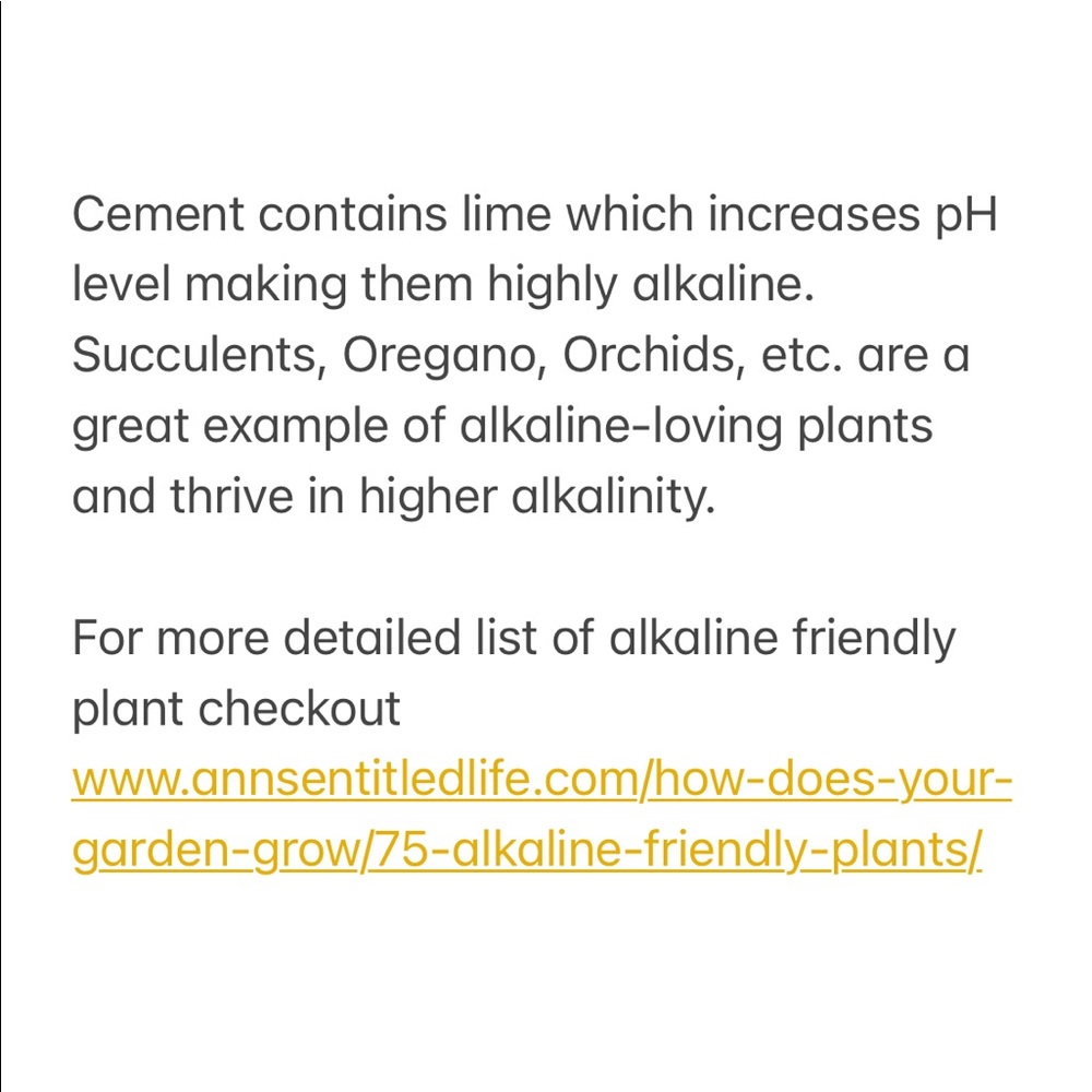 Industrial Modern Handcrafted cement planter - Picture 5 of 5